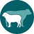 Ruminant Health & Welfare